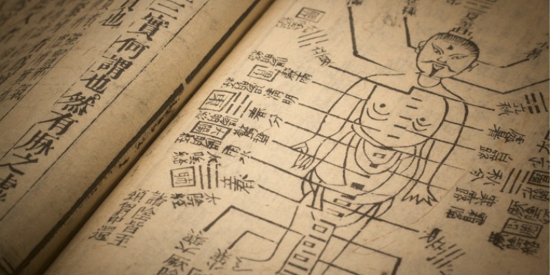 Image d'un personnage avec ses méridiens